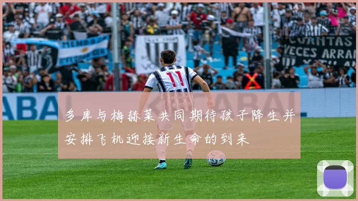多库与梅赫莱共同期待孩子降生并安排飞机迎接新生命的到来